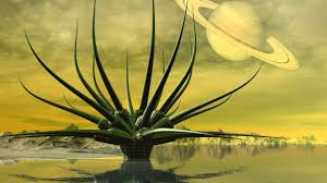 alien flora.jpg